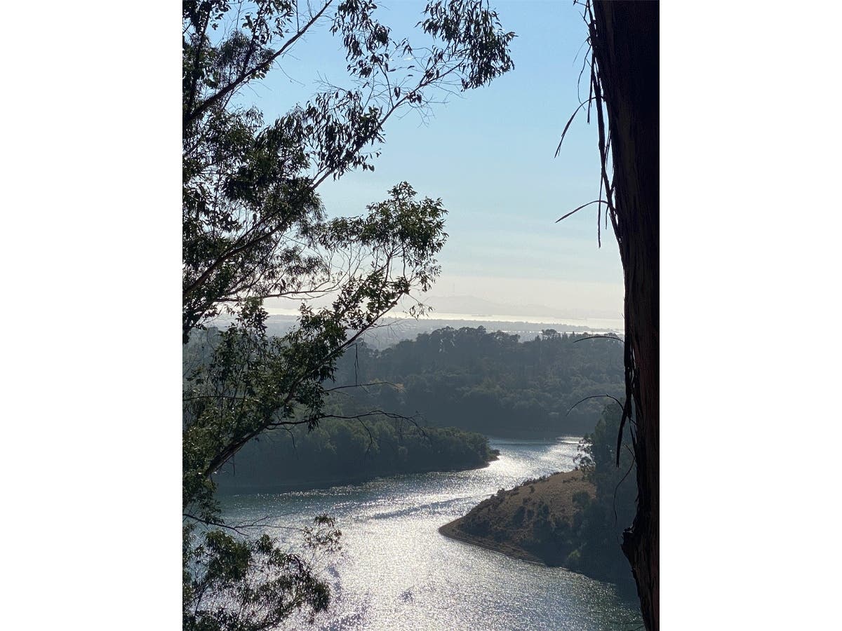 Chabot Regional Park.