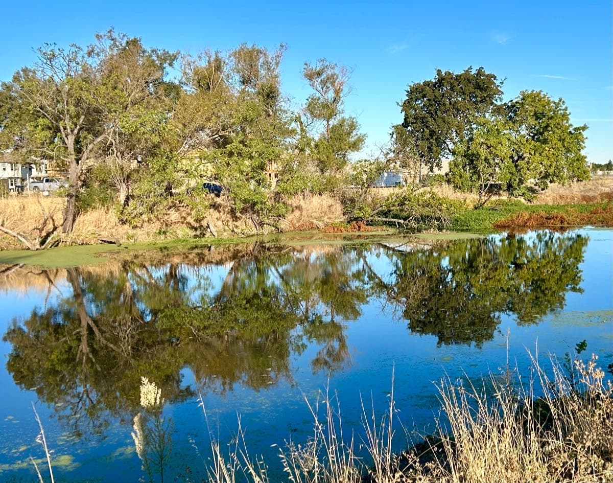 The Natomas Main Drainage Canal in Sacramento, Calif.