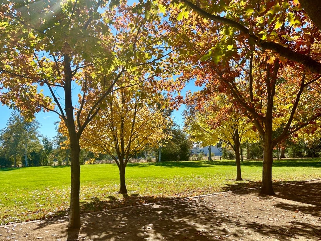 Barandas Park, Sacramento, Calif.