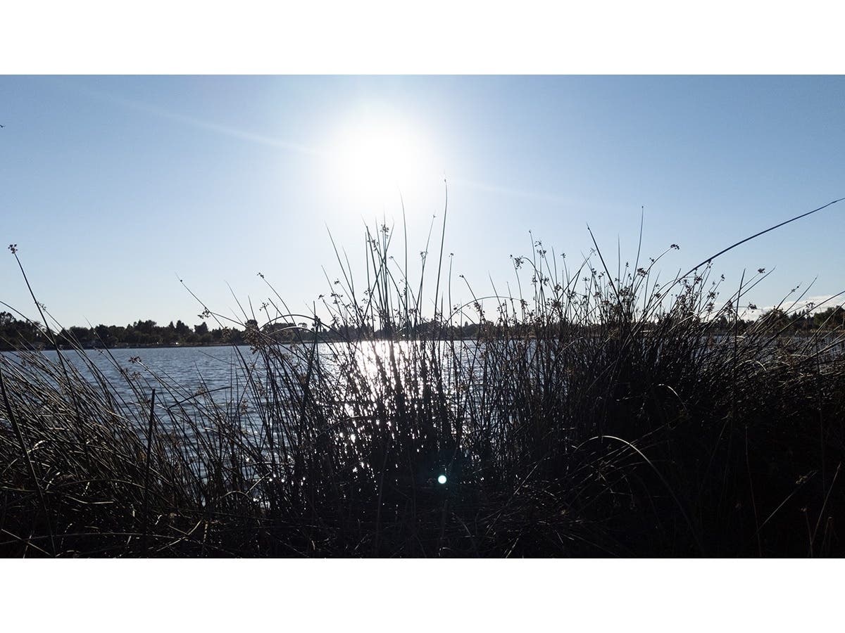 Lake Elizabeth, Fremont, Calif.