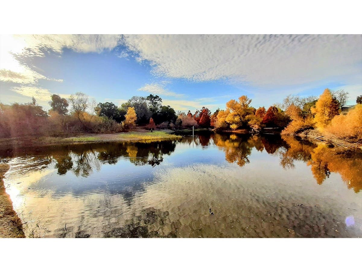 Niles Community Park in Fremont, Calif.