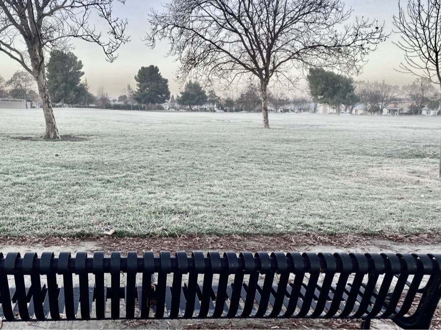 A heavy frost in Fremont, Calif.