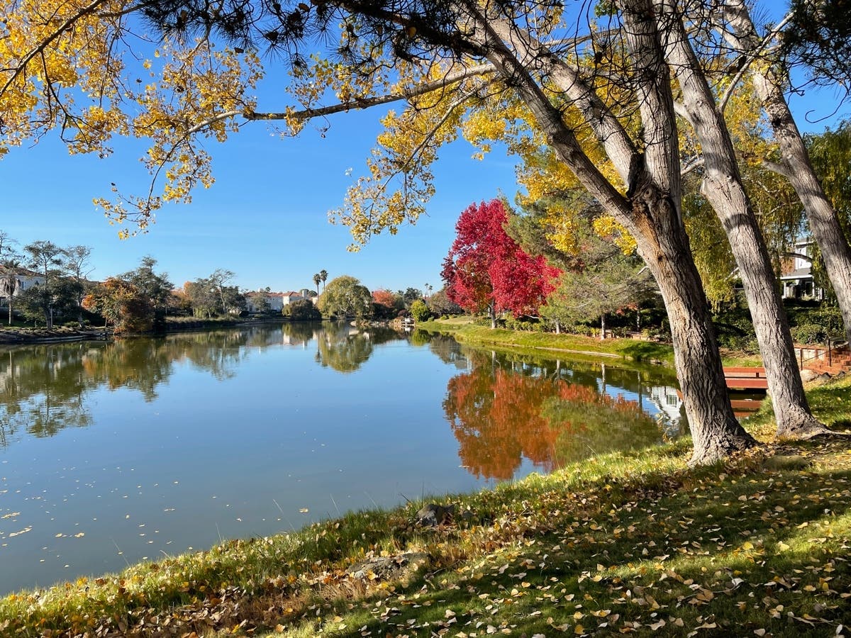 Harbor Bay Lagoon, Alameda, Calif.