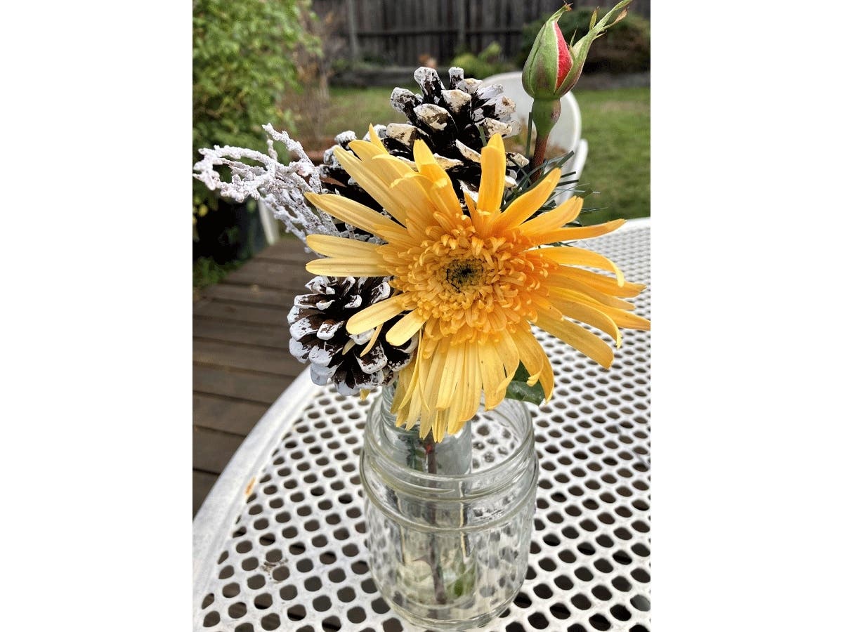 December flowers in San Leandro, Calif.