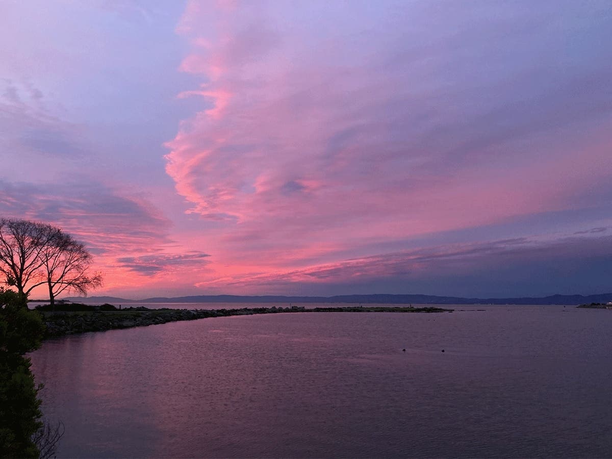 Crown Harbor in Alameda.