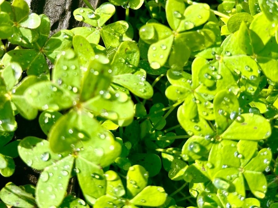 The sun shines following rain showers at Oyster Point, South San Francisco, Calif.