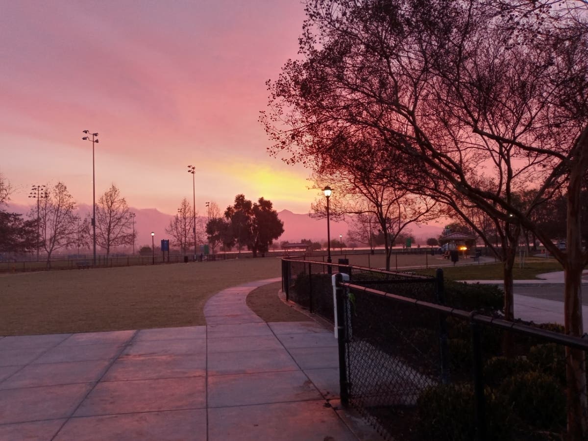 Dog Park in Fremont, California.