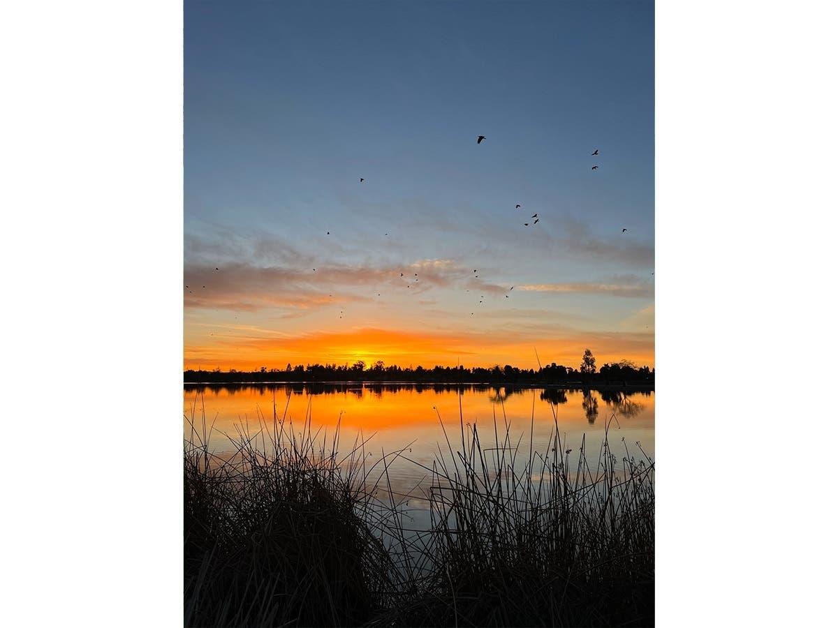Sunset at Lake Elizabeth in Central Park, Fremont, Calif.