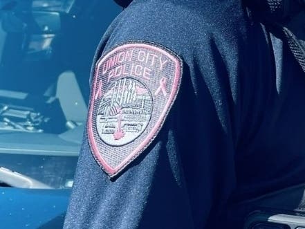 The Union City Police Department and T&L Elite Automotive are offering the service.