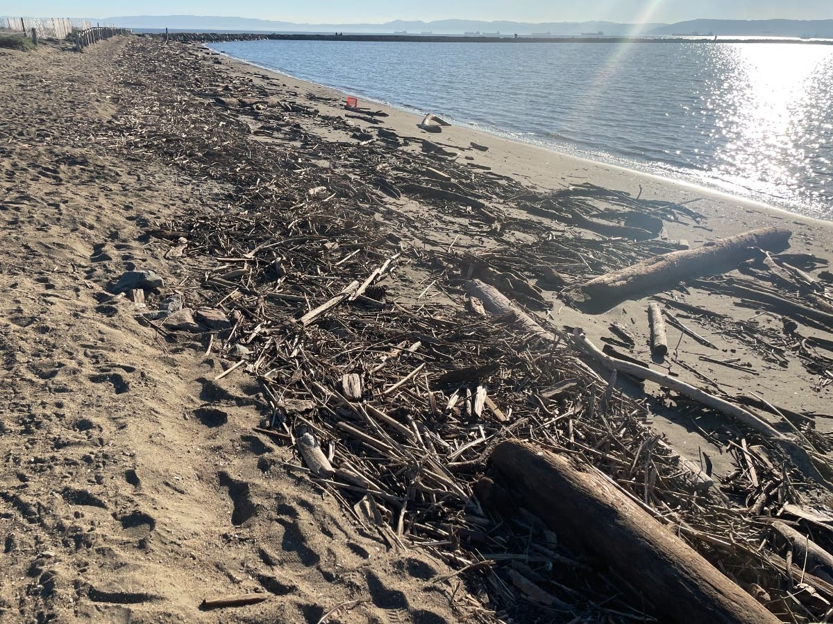 Ballena Beach, Alameda, Calif.