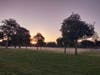 Dawn in Ardenwood Park, Nov. 2020.