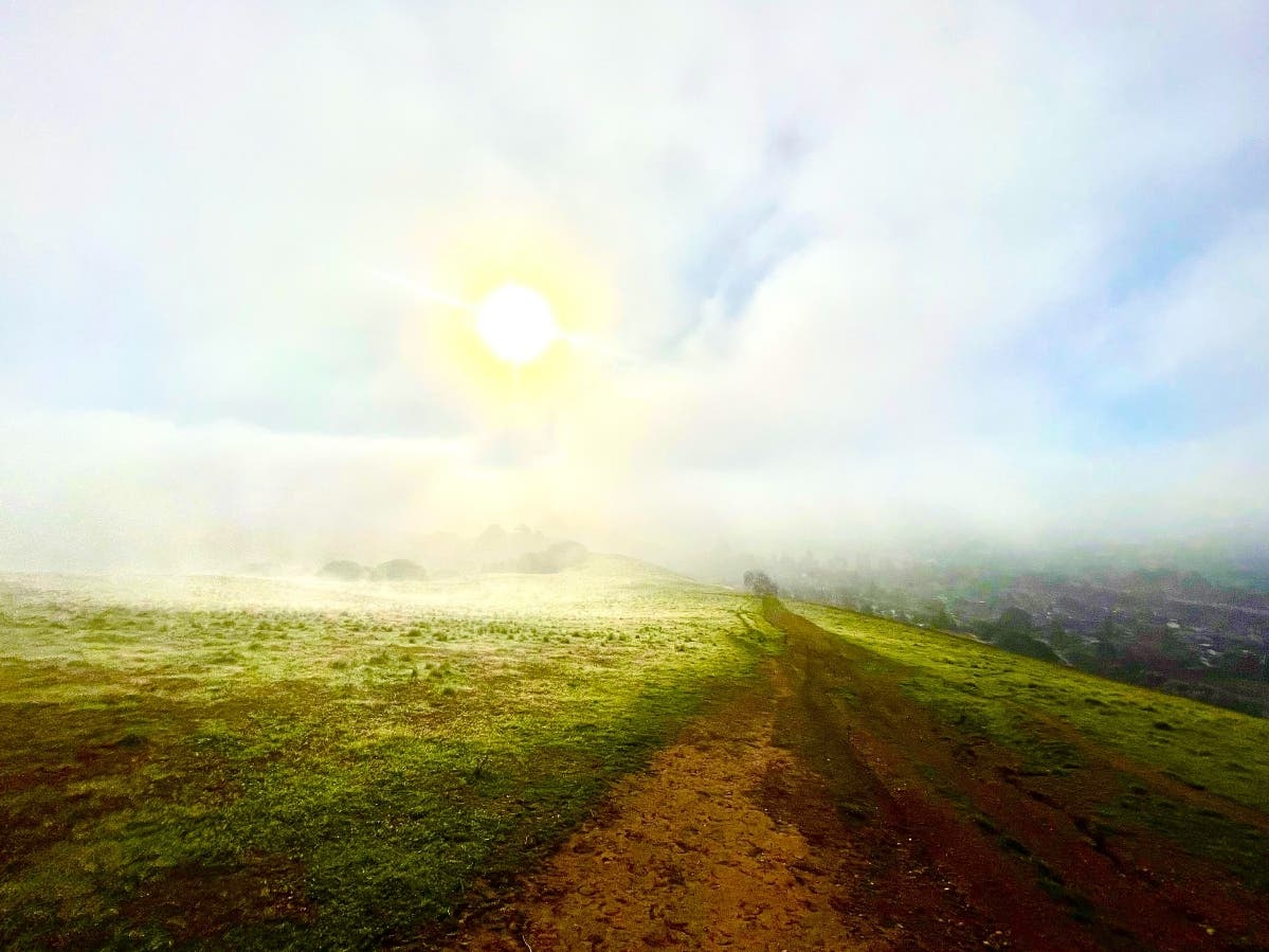 Misty Sunrise at Pioneer Regional Park, late January 2023.
