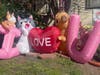 Valentine's Day lawn decorations.