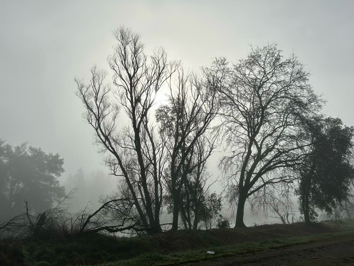 Morning fog in Sacramento, Calif.