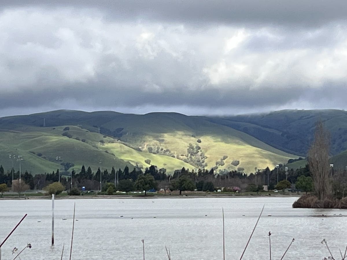 The hills have taken on a velvety green following winter rains.