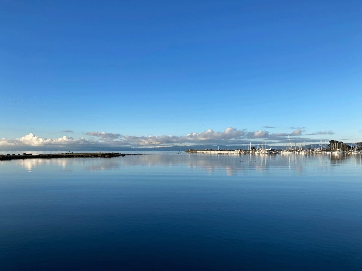 Crown Harbor in Alameda, Calif.