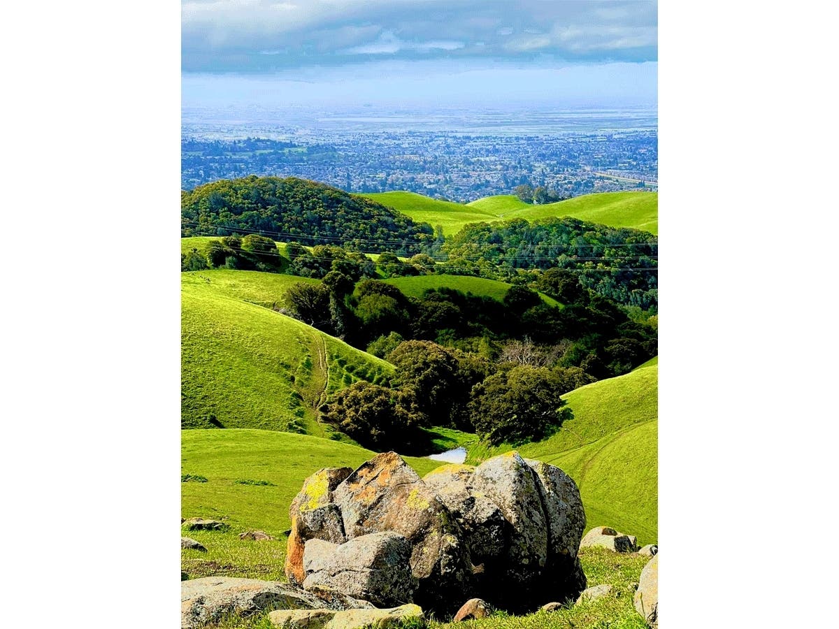 View from Vargas Plateau Regional Park, Fremont, Calif.
