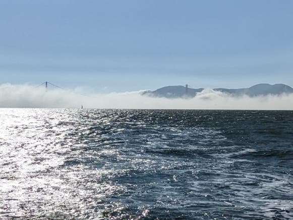 The view from San Francisco Bay.