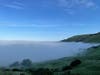 Fog nestles up against the hills, Mission Peak, Fremont Calif.
