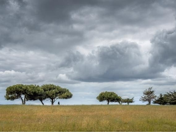 Bay Farm Island, Alameda, Calif.