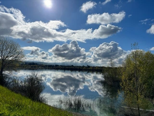 Quarry Lakes Regional Recreation Area in Fremont, Calif.