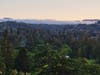 Fog clears the coastal range and creeps over the San Francisco Peninsula.