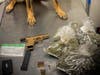 Drake the K9 helped find an unregistered handgun and two pounds of marijuana and cocaine. 