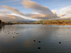 Lake Elizabeth in Central Park, Fremont, Calif.