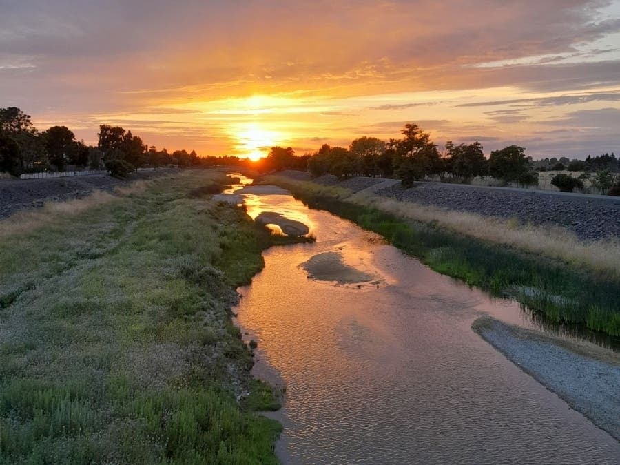 Quarry Lakes Regional Recreation Area in Fremont, Calif.