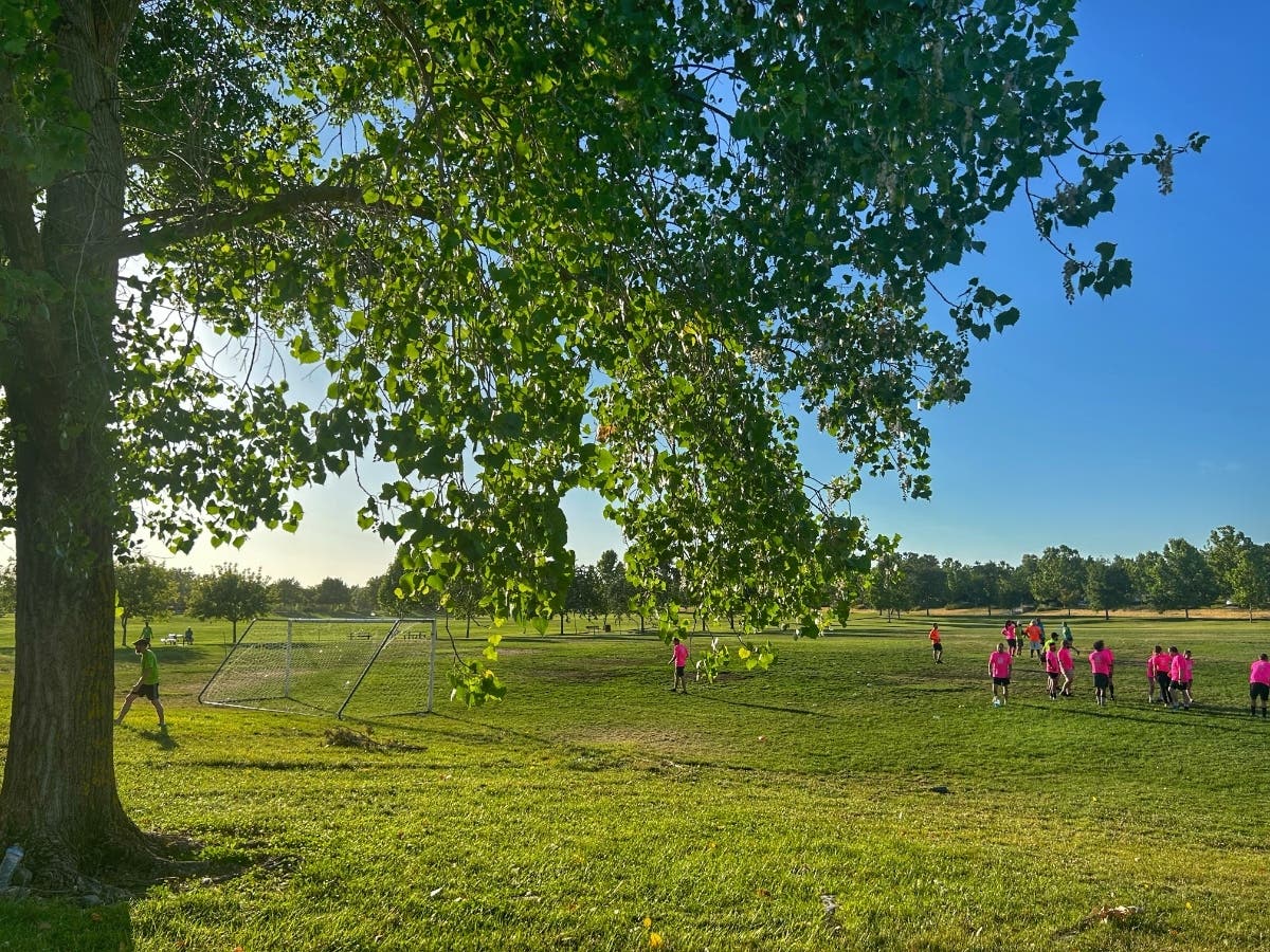 There's plenty of wide out space for playing at North Natomas Park.