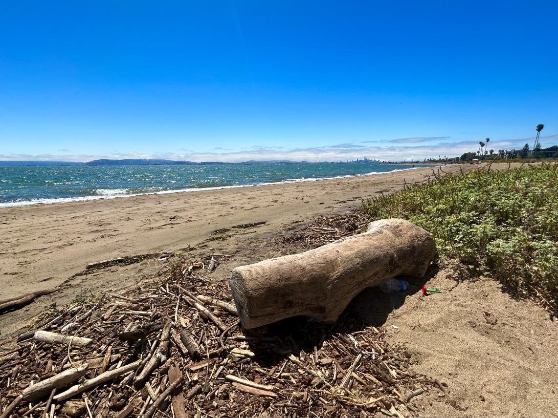The beach at Alameda, Calif.