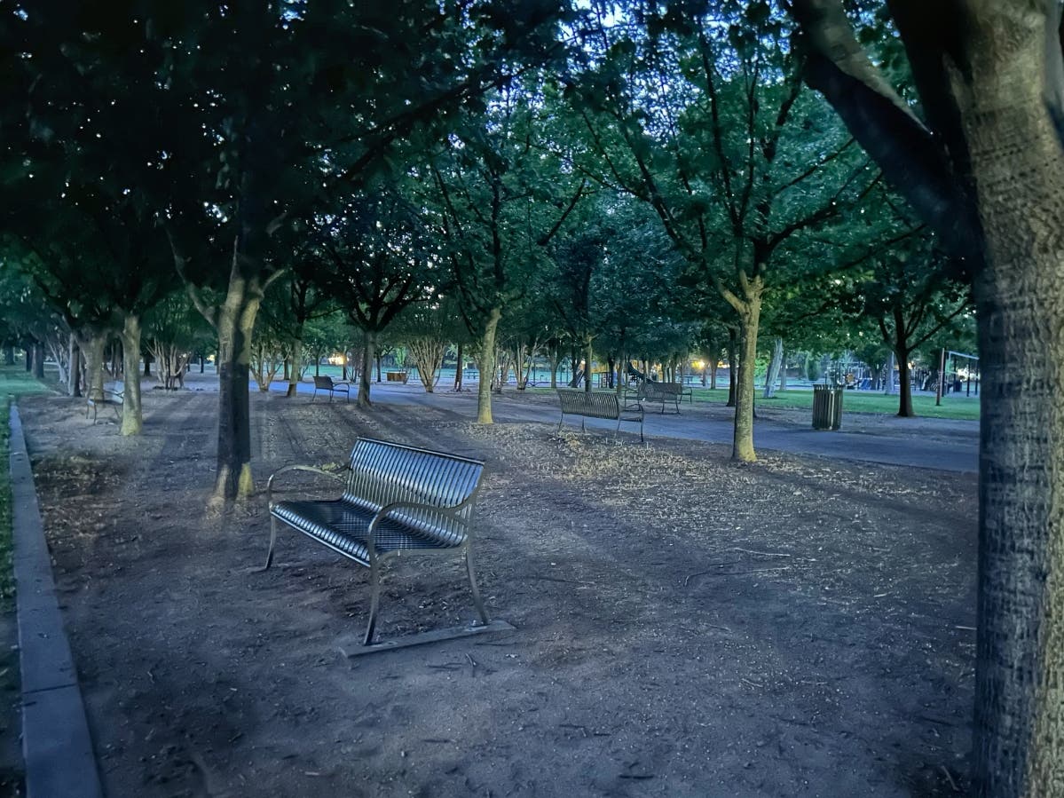 A park bench beneath leafy trees in Sacramento, Calif.