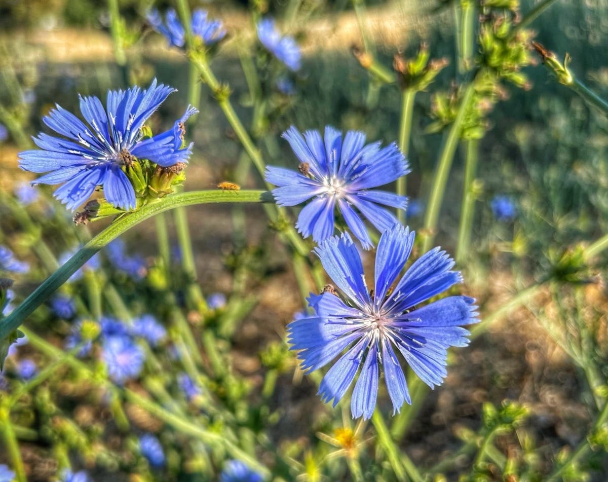 Photo taken near West El Camino Avenue in Sacramento.