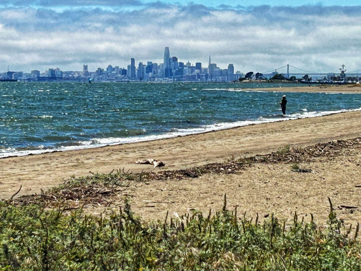 A lone person at the beach.