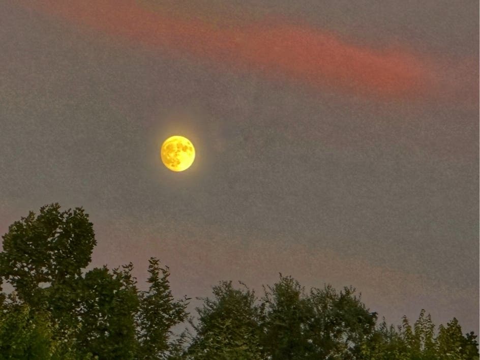 Moon over Sacramento, Calif.