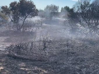 The fire quickly charred six acres.