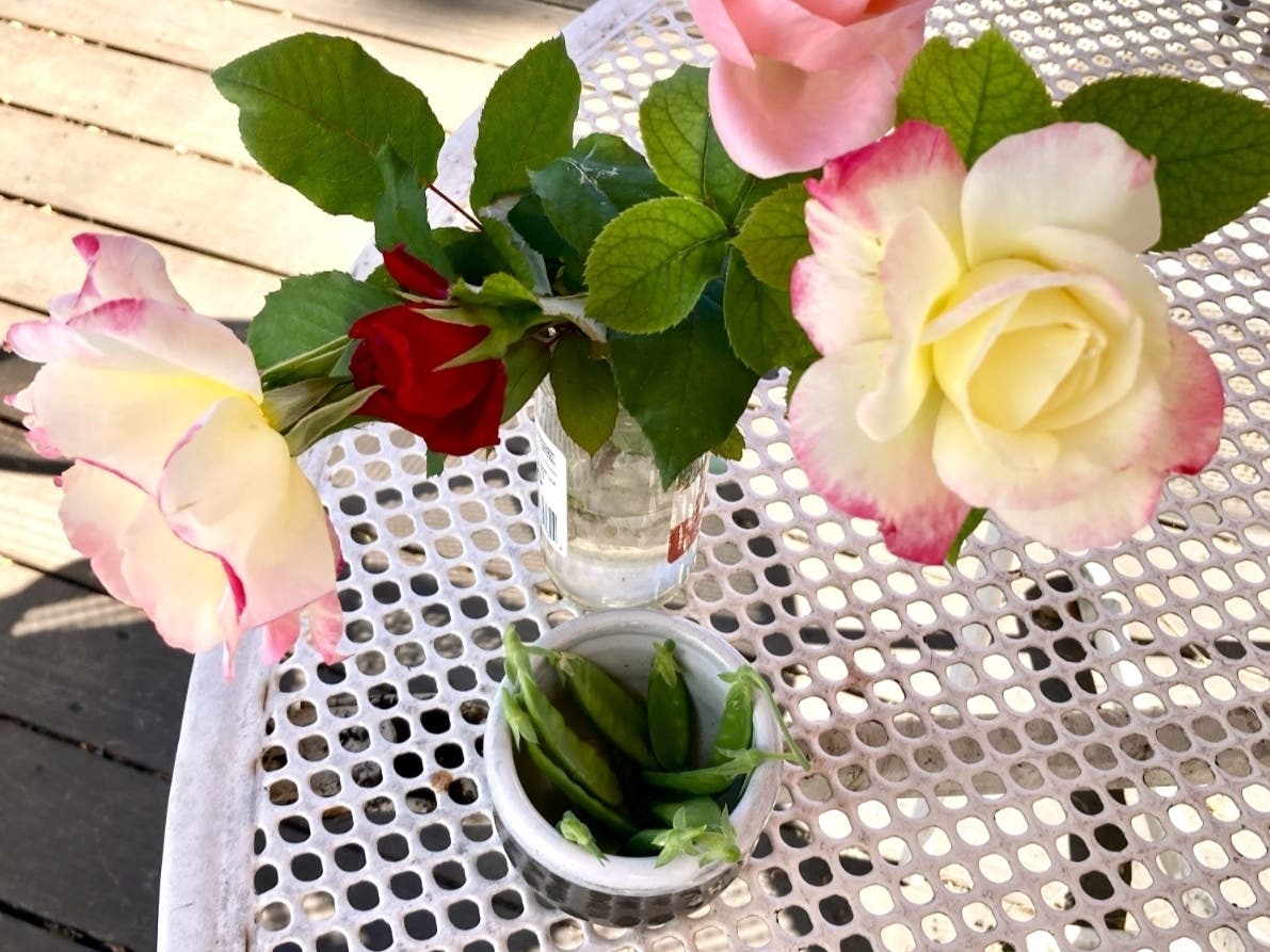 A selection of homegrown roses and peas.