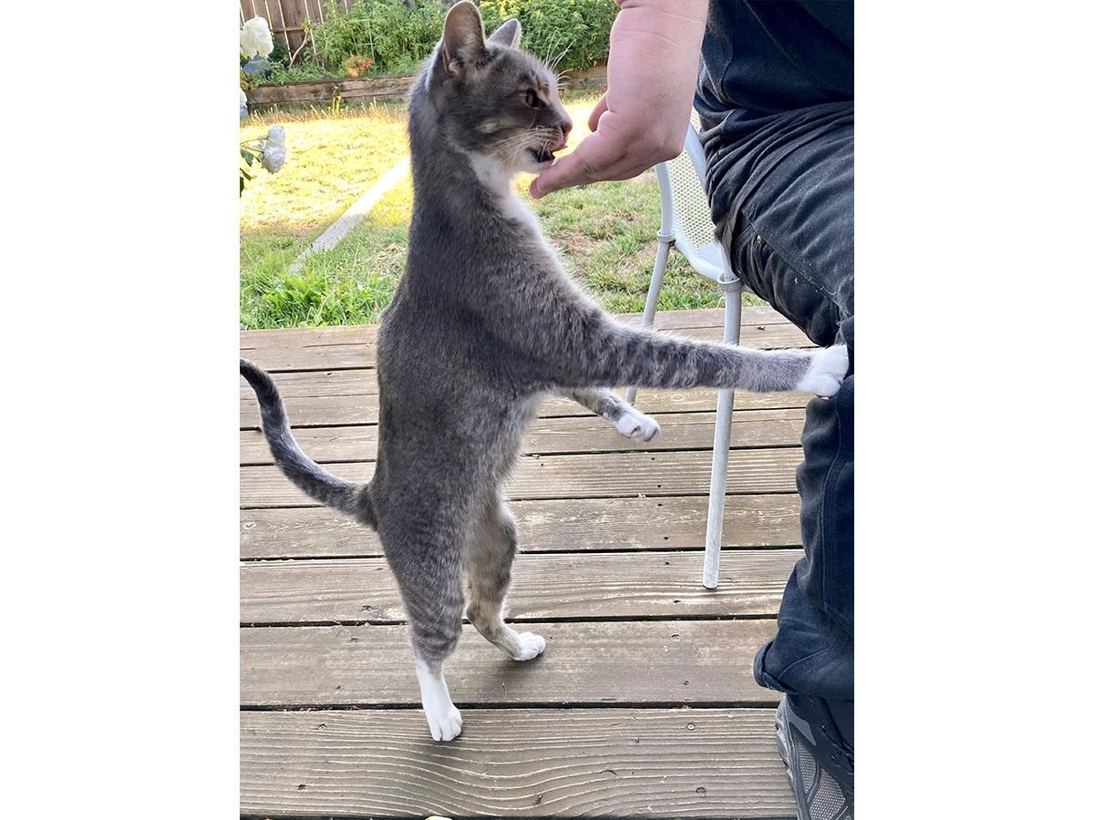 Buddy gets a handout.