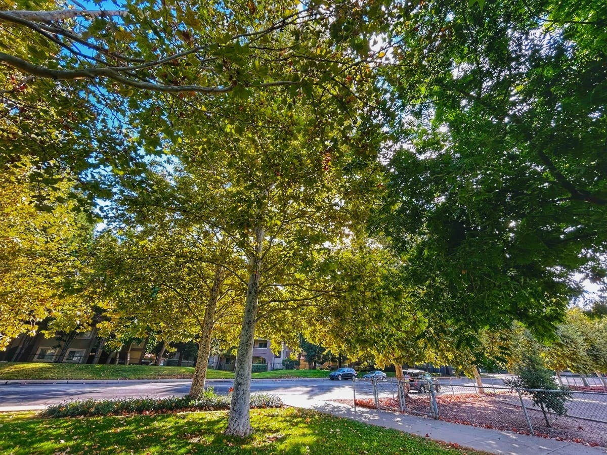 Barandas Park in Sacramento, Calif.