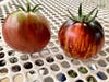 Unusual tomato varieties: left Berkeley Tie-Dye;  right Queen of the Night, harvested on Sept. 4, 2023 in San Leandro, Calif.