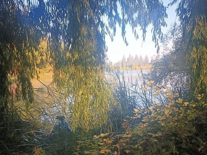 Autumn colors frame a peaceful lake.