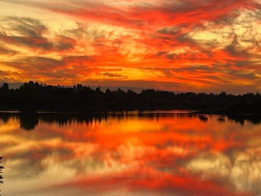 Quarry Lakes Regional Recreation Area in Fremont, Calif.