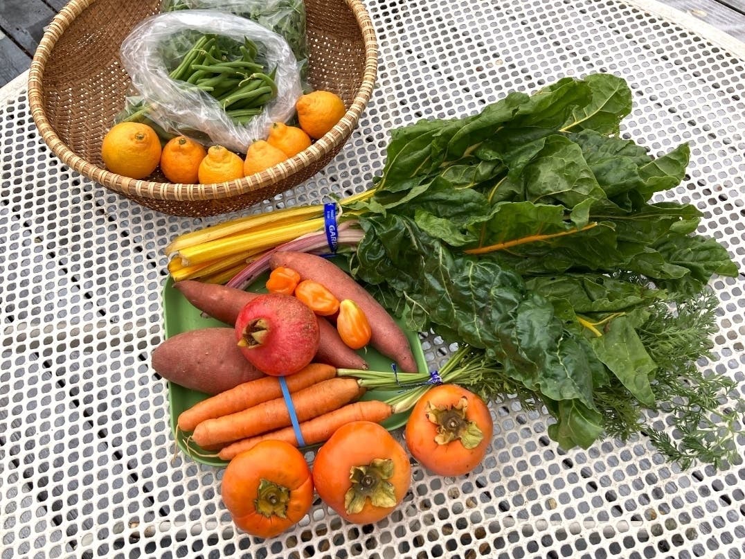 November purchases from the Farmers Market.