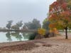 Autumn colors brighten a grey day at Lake Elizabeth in Fremont, Calif.