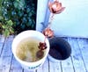 A 5-gallon bucket fills with rain water off the house.