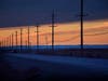 Telephone poles silhouetted by the twilight sky at Elverta Road, a few miles north of Sacramento and east of the airport.