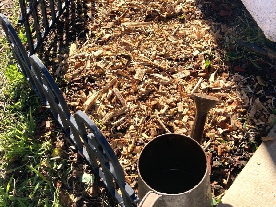 A garden bed freshly planted with winter vegetables.