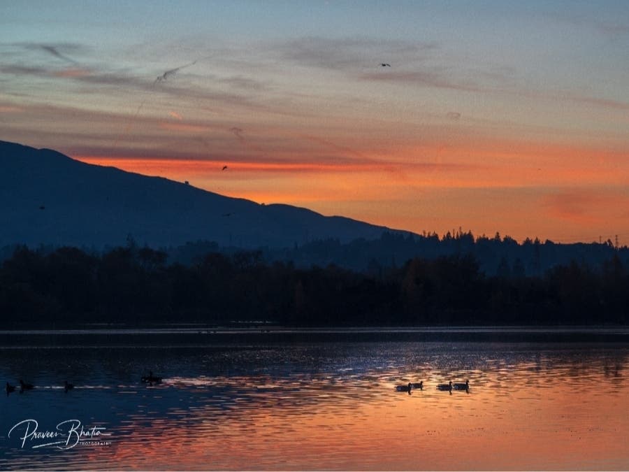 Lake Elizabeth in Central Park, Fremont, Calif.