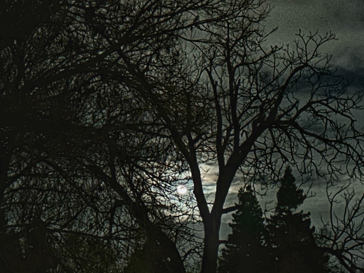 Moon over Sacramento, California.