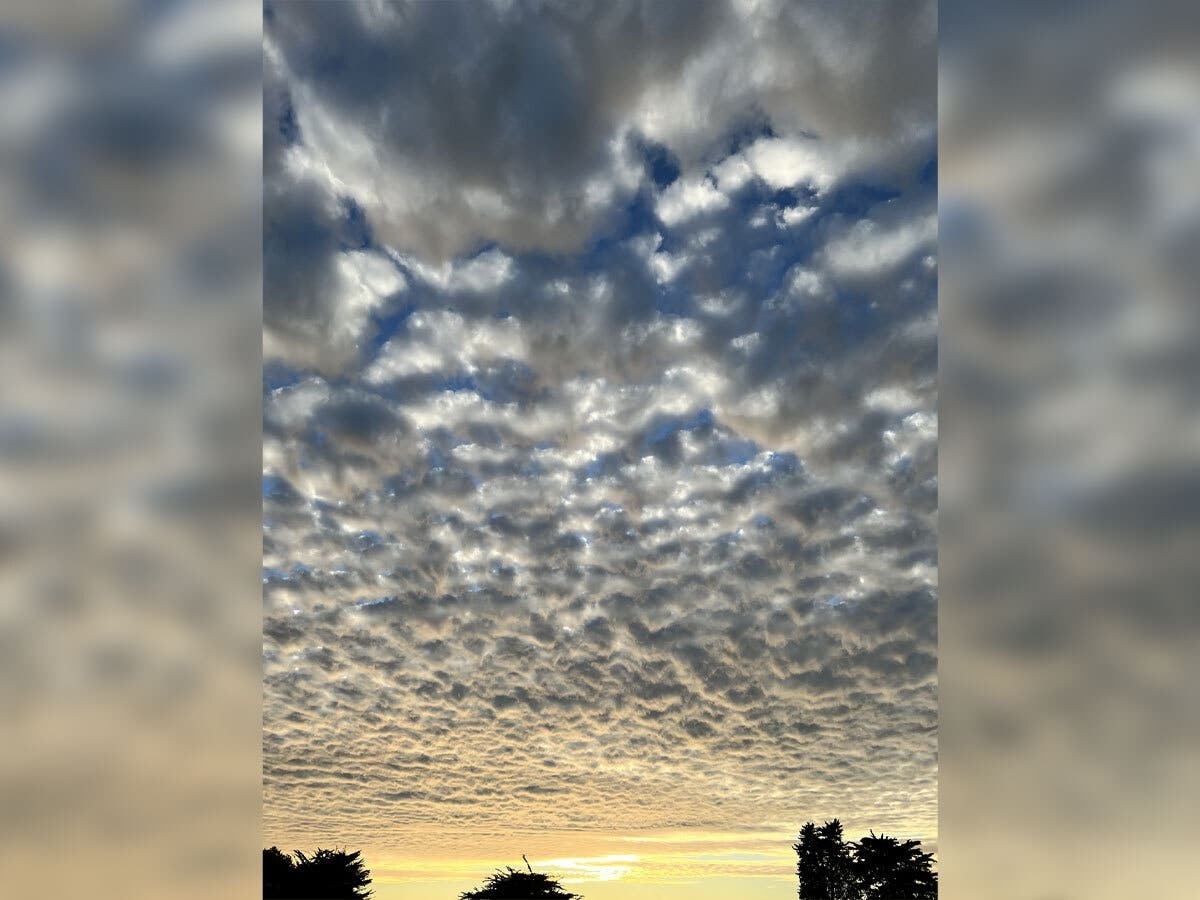 Sunset from Alameda, Calif.